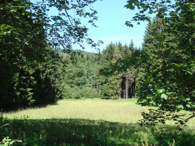 High Vogelsberg Nature Park