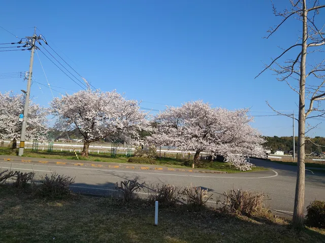 Shiroyama Park