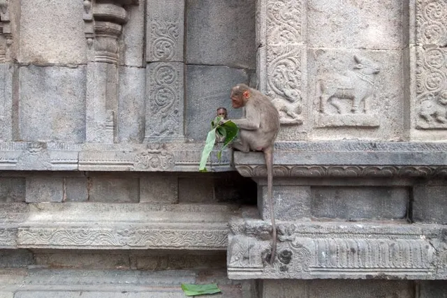 Annamalaiyar temple thiruvannamalai