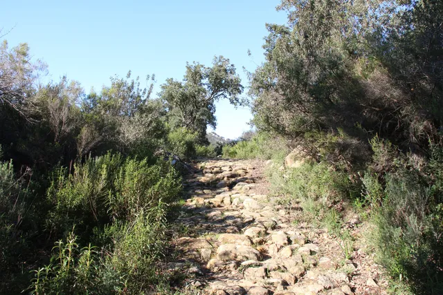 Calzada Dehesa Boyal