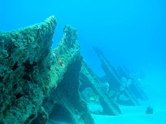 SS Inchulva the Delray Wreck