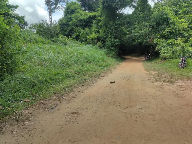 PARC NATIONAL DU BANCO (Entrée)