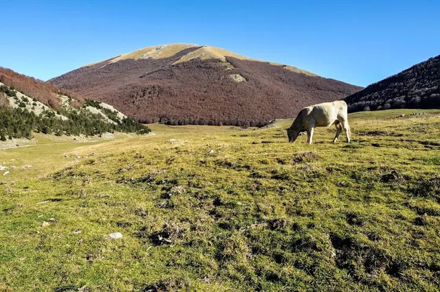 Serra del Prete