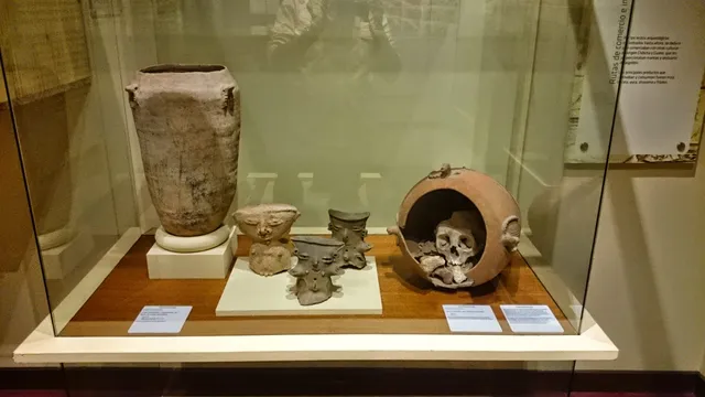 photo-1
