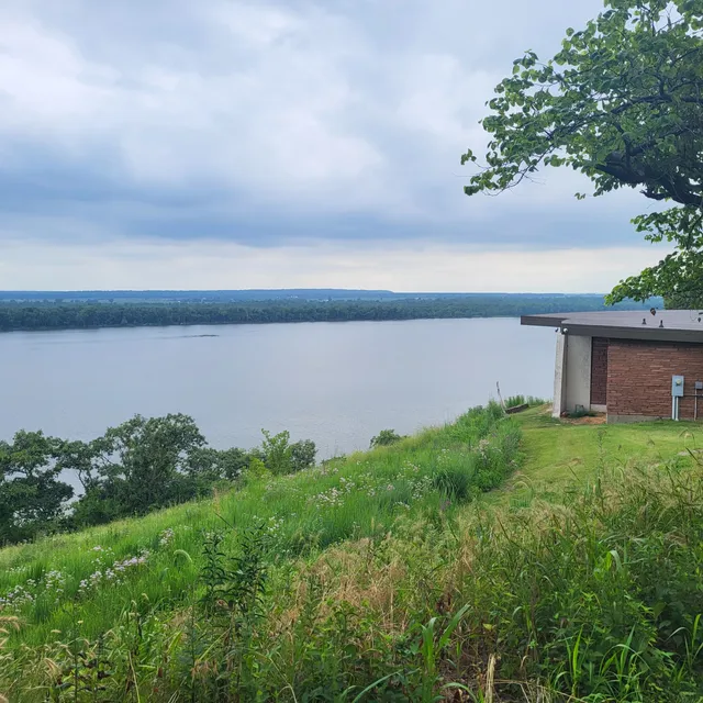 The Nature Institute