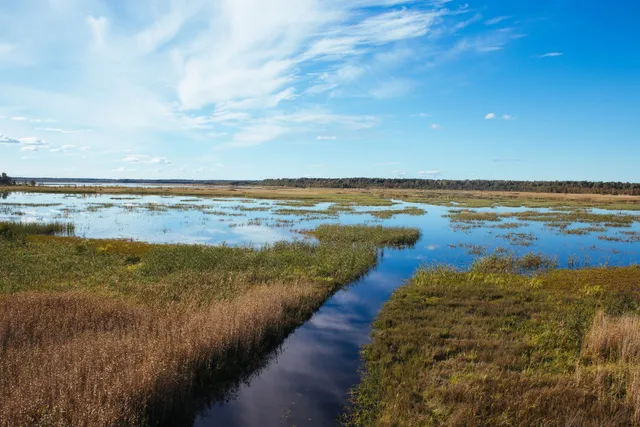Bol'shoye Rakovoye Ozero