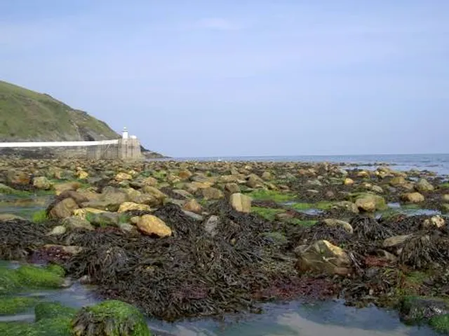 place image