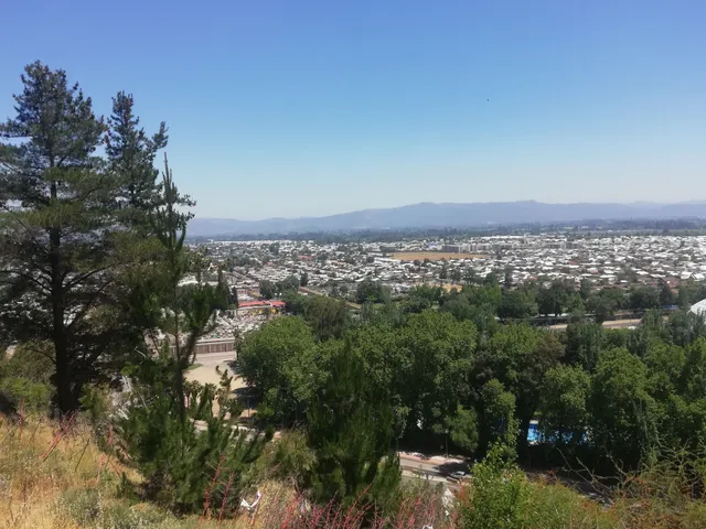 Cerro Carlos Condell