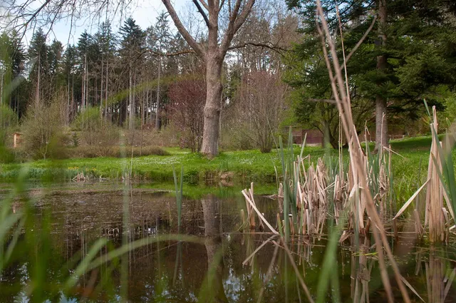 Botanischer Garten Frankenburg