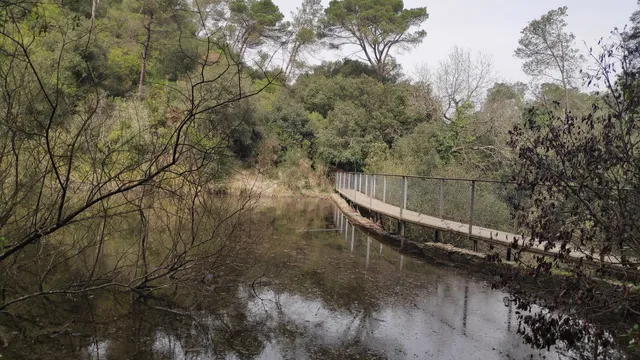 Pantà de Can Borrell