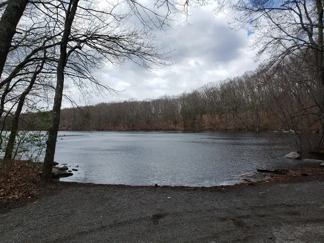 photo-3