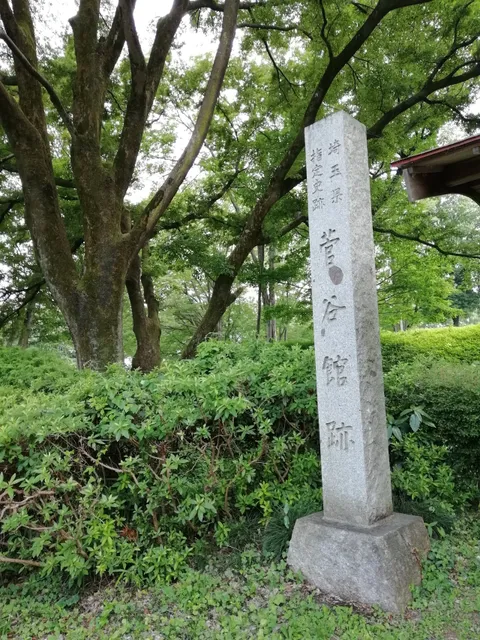 Butterfly's Hometown Park