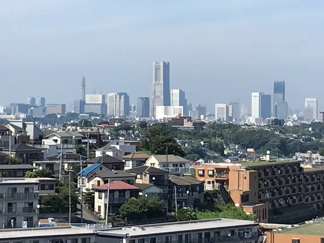 Black Ship viewing hill