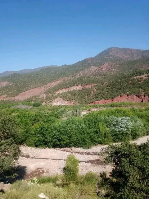 caïdat de Faska Sidi Daoud