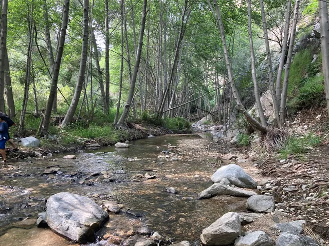 Paul Little Picnic Site