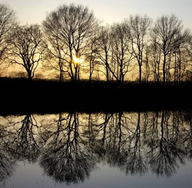 Delleboersterheide. (Natuurgebied van It Fryske Gea.)