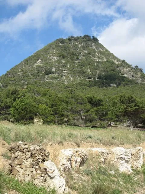 Pico do Castelo
