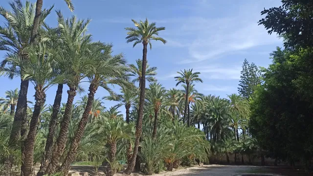 Hort de Sant Plàcid