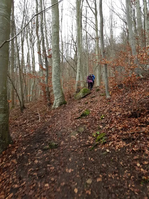Ombergslidens Naturreservat