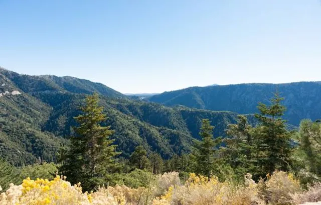 San Bernardino National Forest