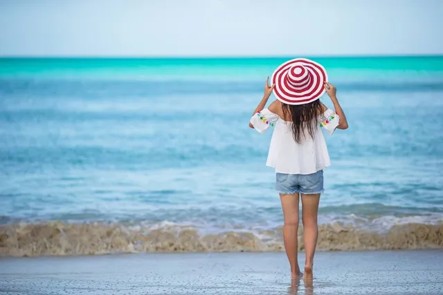 Heron From the beach