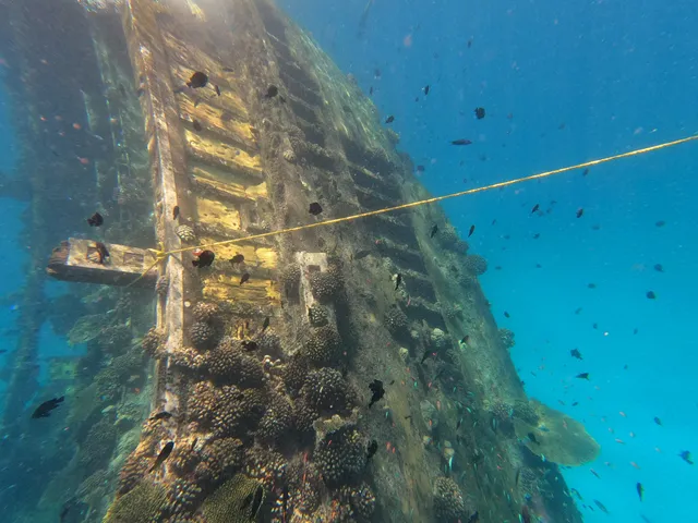 Vaavu Shipwreck