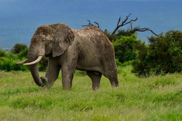 PARQUE TEMATICO GONDAVA