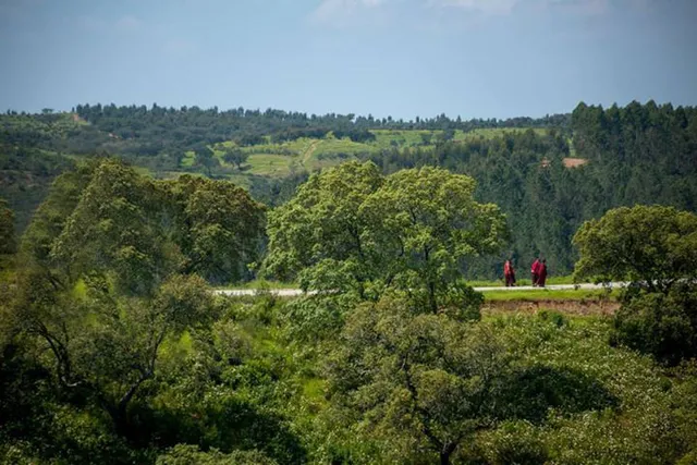 Centro de Retiros Thubten Phuntsog Gephel Ling