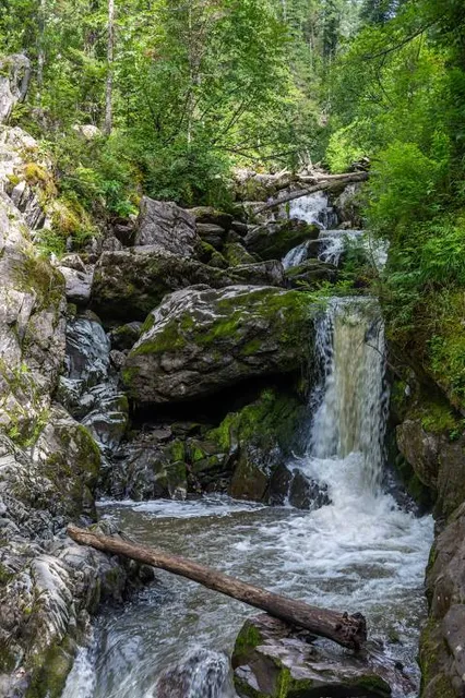 Sentier de la Forêt Marine | La Seigneurie