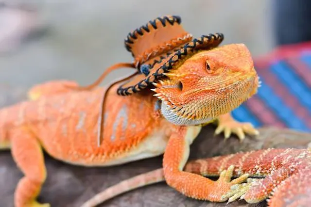 3D Trick Art Gallery