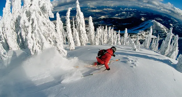 Rare Earth Adventures