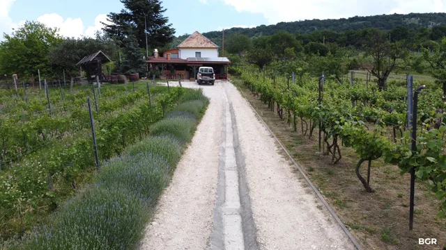 Turay Családi Pincészet