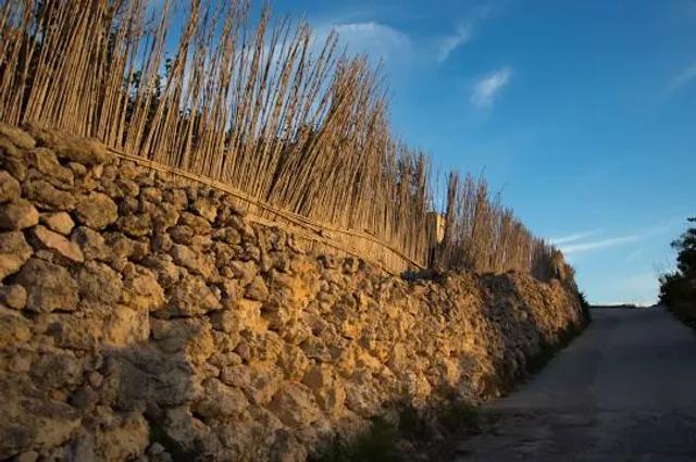 Riserva Naturale Speciale la Bessa