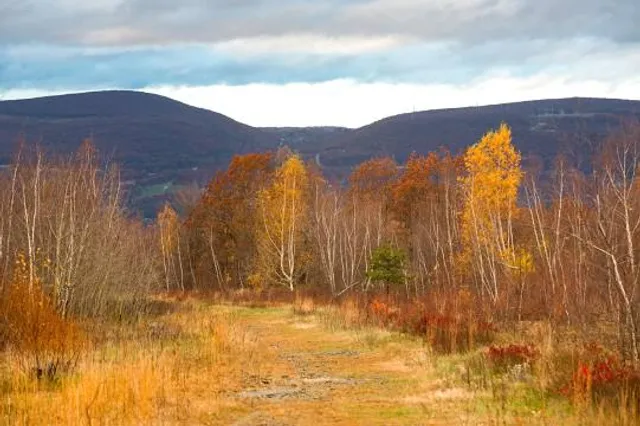 Eales Preserve at Moosic Mountain
