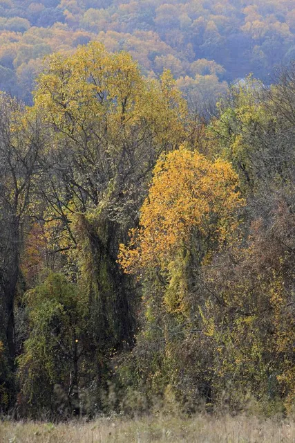 Visitor Center At Valley Forge
