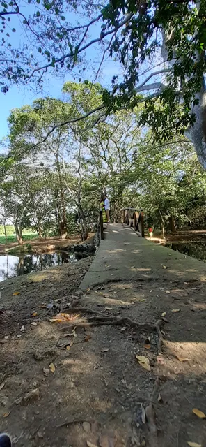 place image