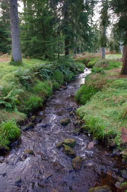 Gortin Glen Forest Park