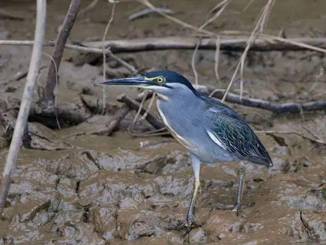 قرية الشيخ صباح الأحمد التراثية – Sheikh Sabah Al-Ahmad Village