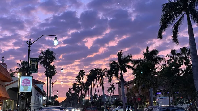 Sea Pleasures & Treasures