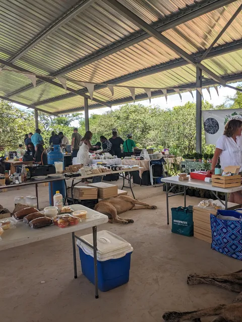 Farm Gate by Birchwood