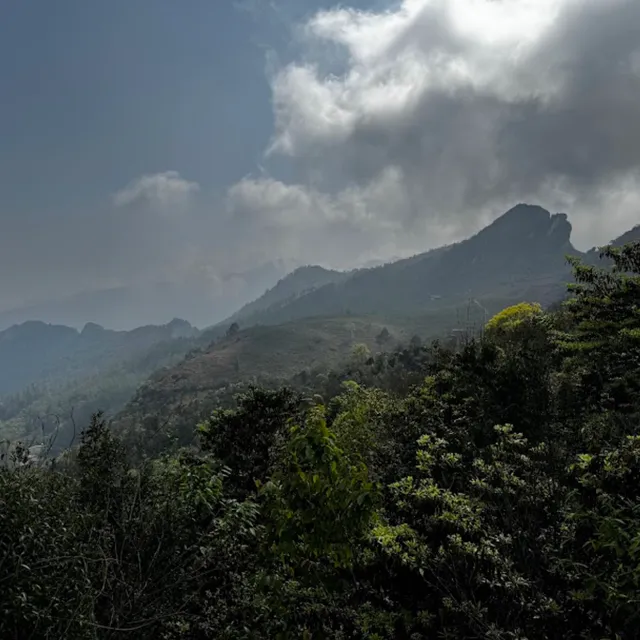 Ham Rong Sa Pa Eco-Tourism Area