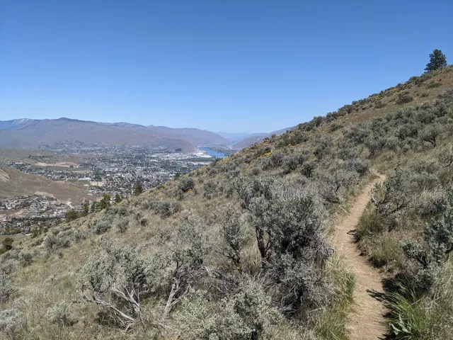 photo-1