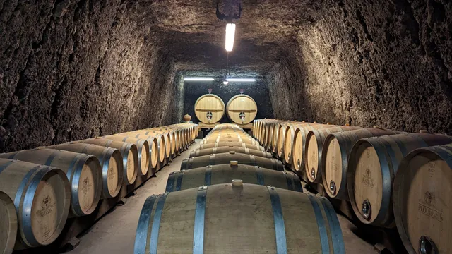 Guillaume and Mathieu PLOU