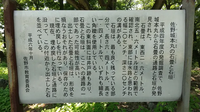 photo-3