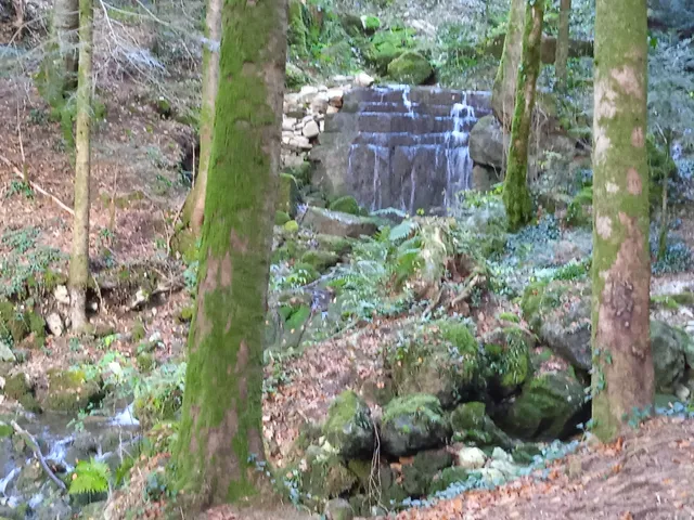 Source de l'Angillon