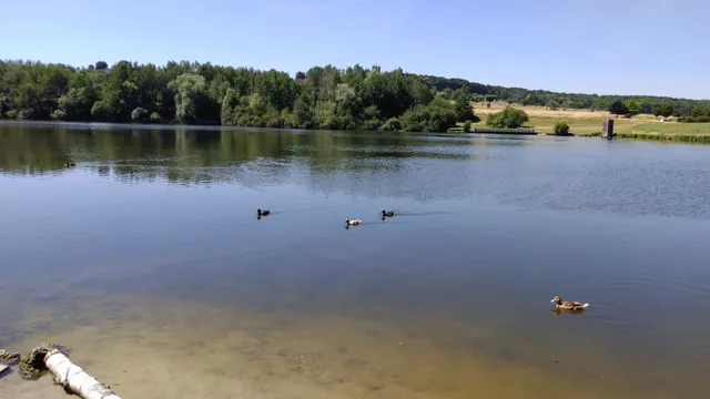 Bassin de la Courance