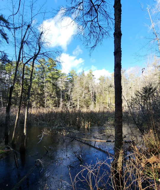Thorne Head Preserve Trail Head