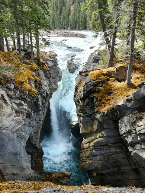 Siffleur Falls
