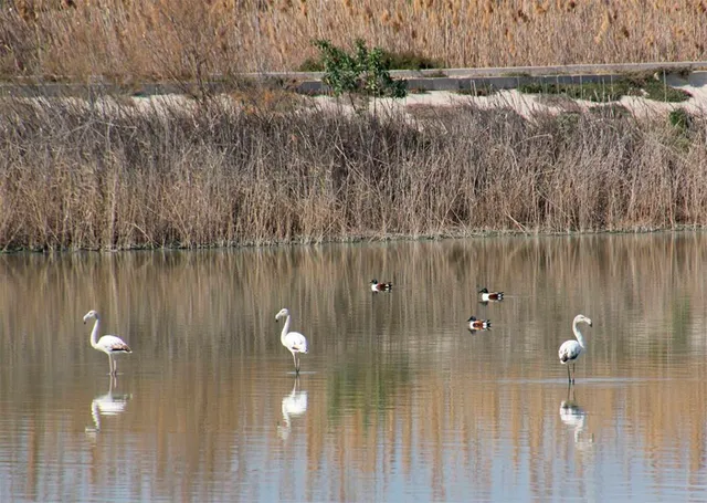 Lagunas de Campotéjar