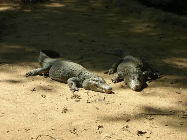 Piney Falls Trailhead